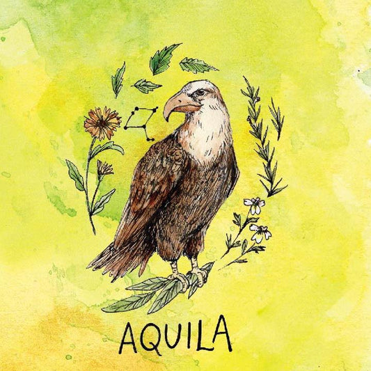 Elixir of the Month: Aquila Allergy Relief