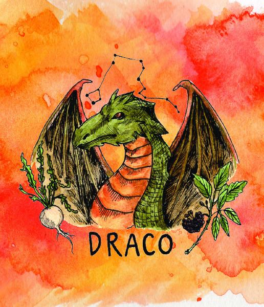 Elixir of the Month: Draco Energy