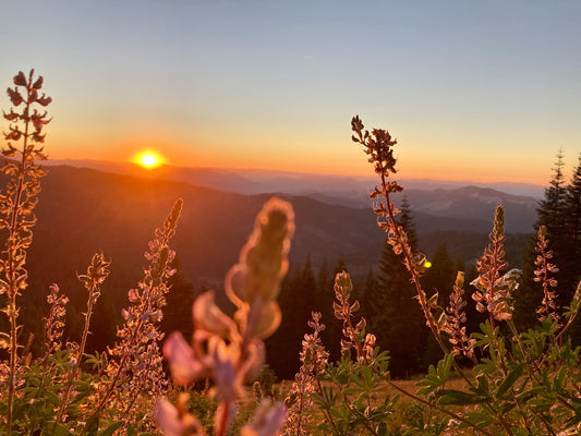 Tips for Summertime with Herbalist Amanda Furbee