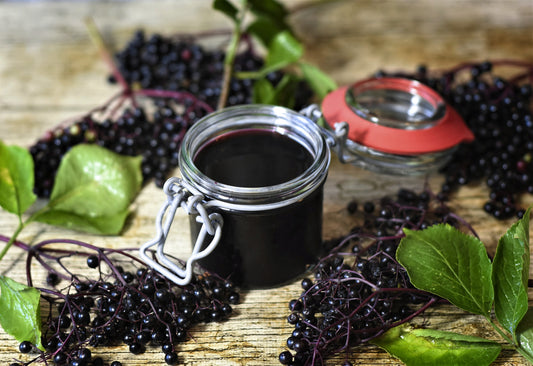Make Your Own: Elderberry Spritzer Mocktail