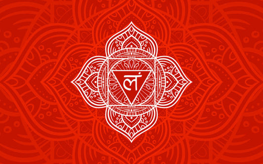 Understanding the Root Chakra