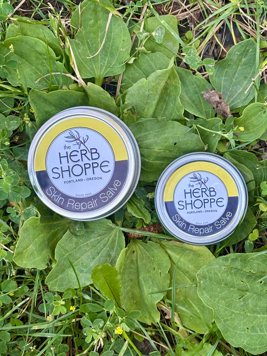 Skin Repair Salve