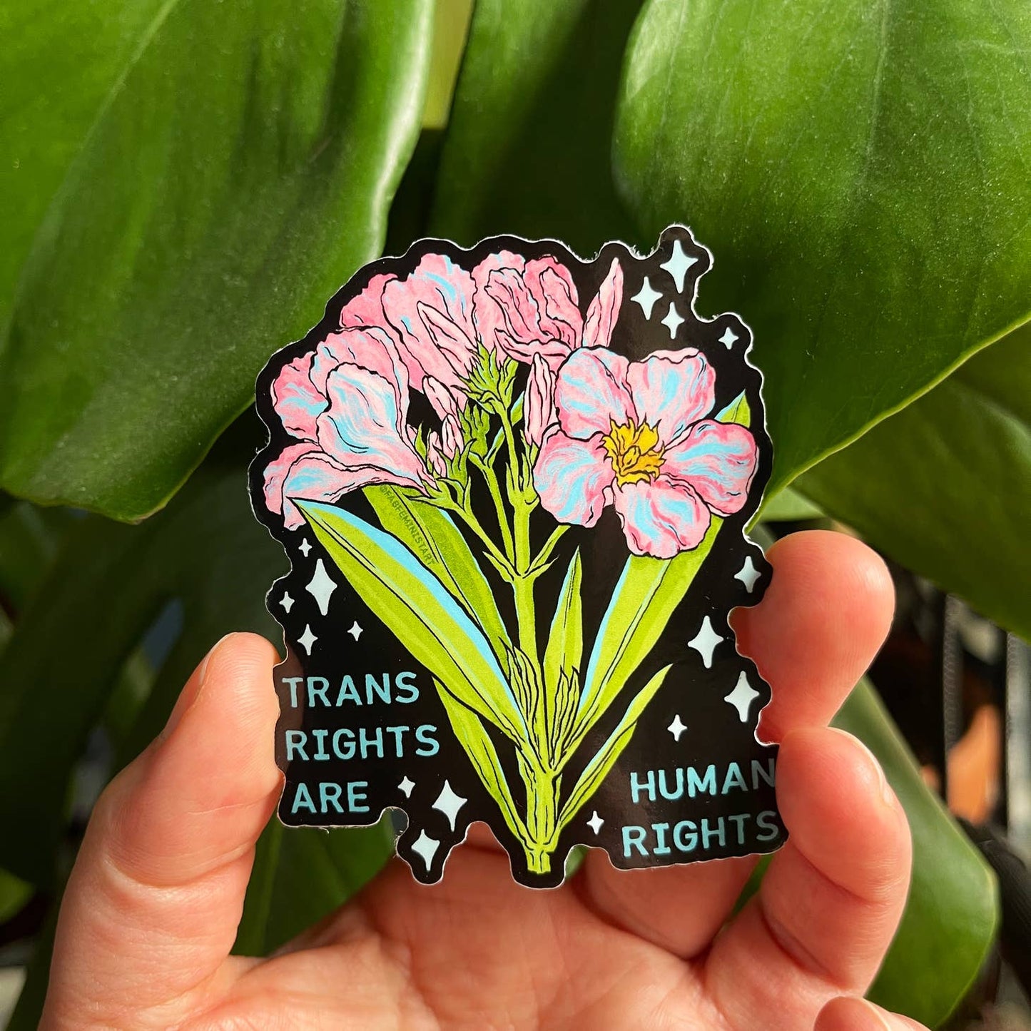 Trans Rights Are Human Rights Sticker