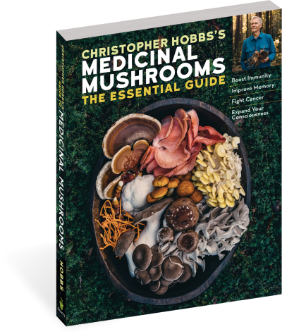 Christopher Hobbs Medicinal Mushrooms