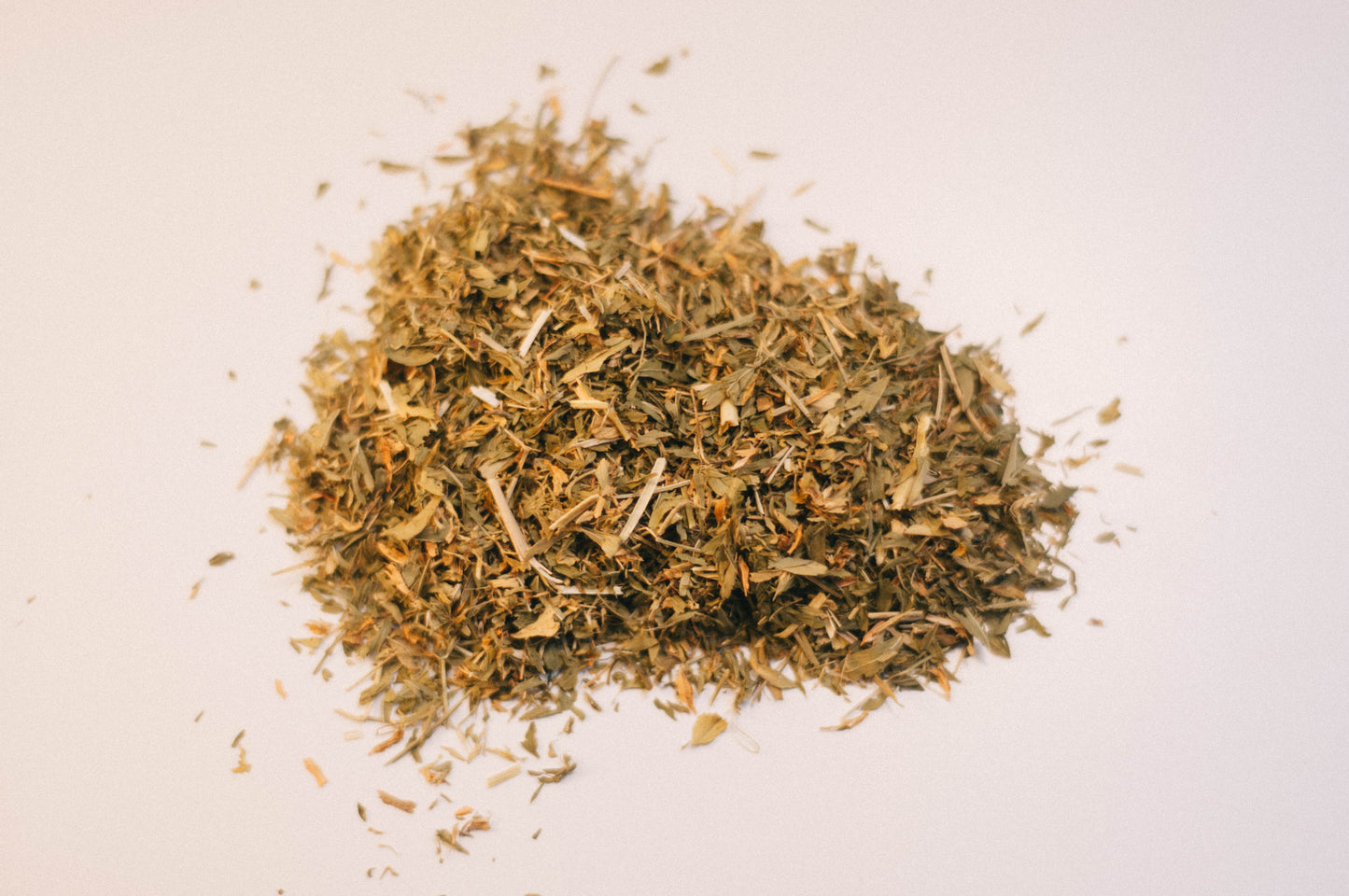 Alfalfa Leaf
