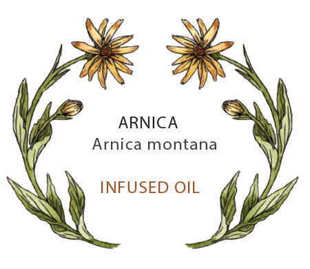 Arnica Oil