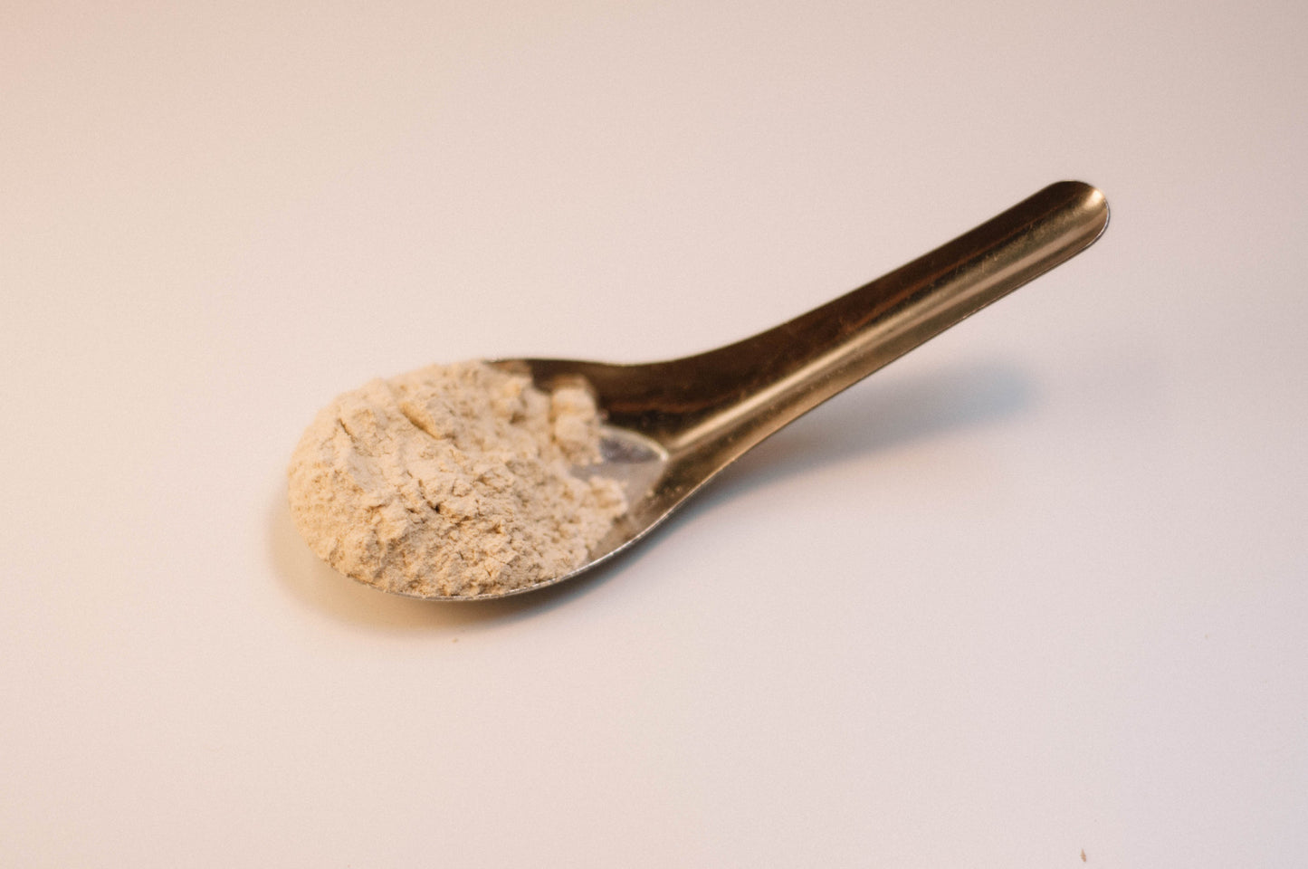 Astragalus Root Powder