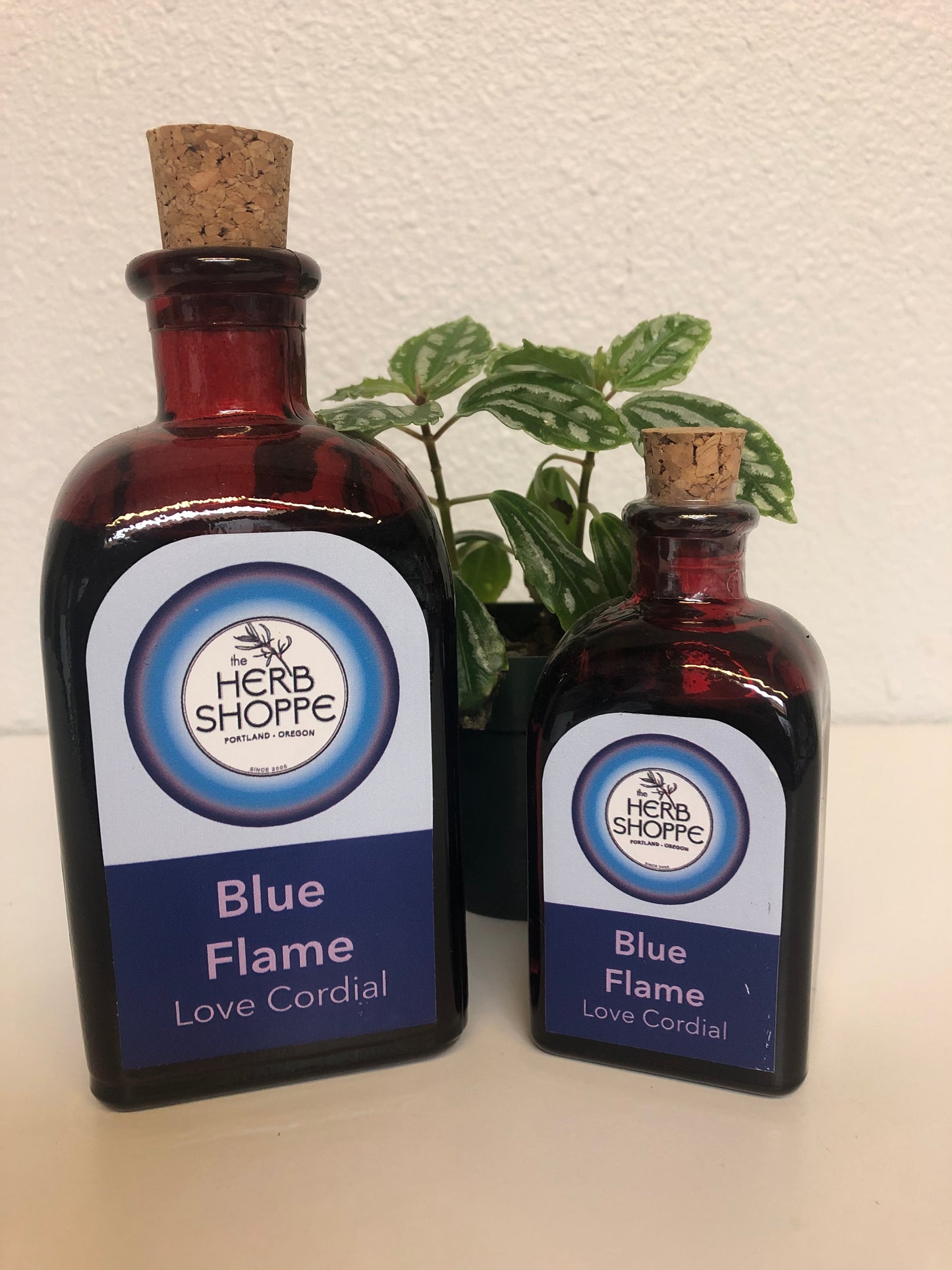 Blue Flame Cordial