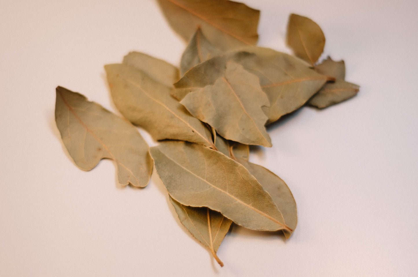 Bay Leaf