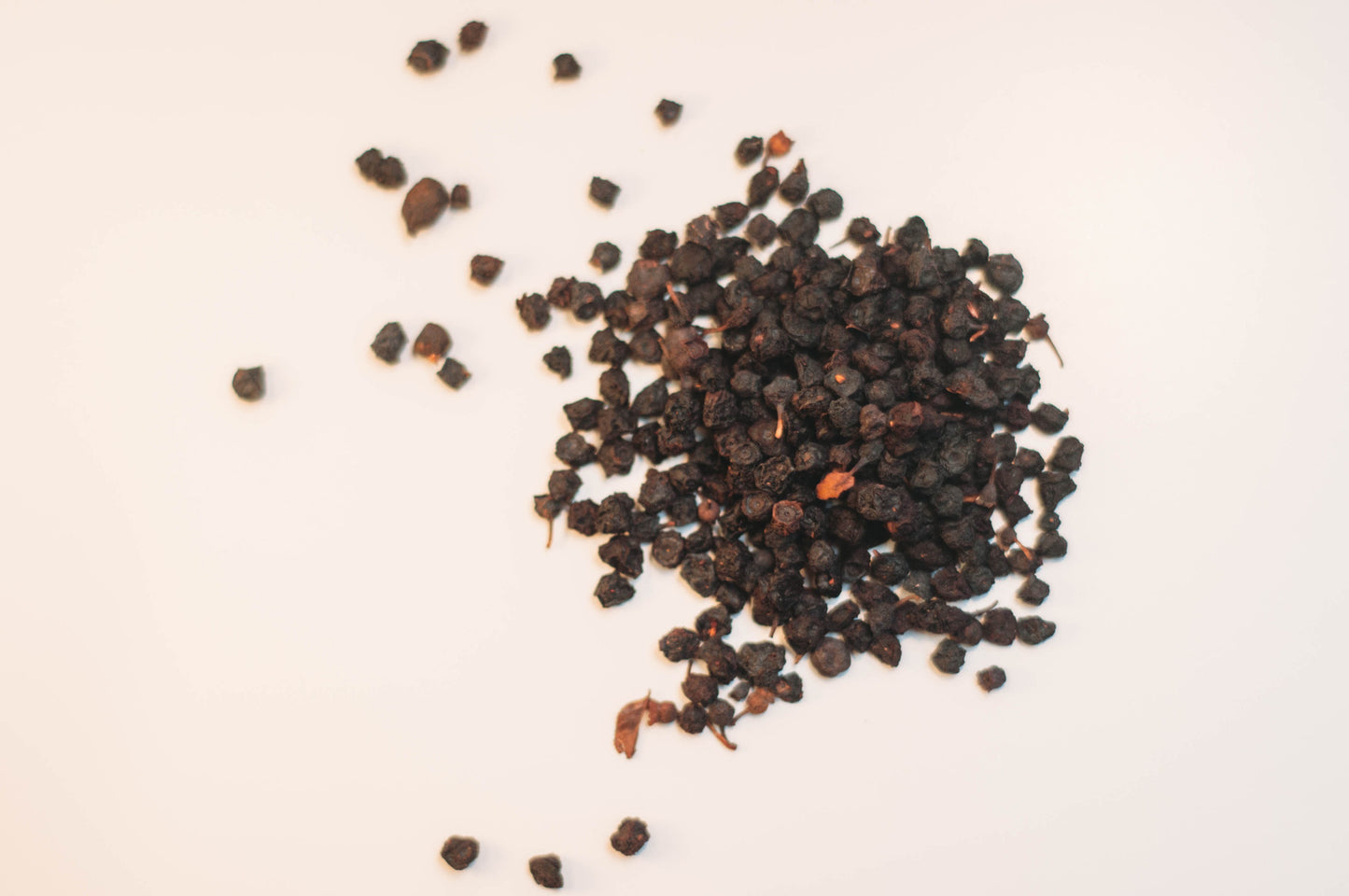 Bilberry