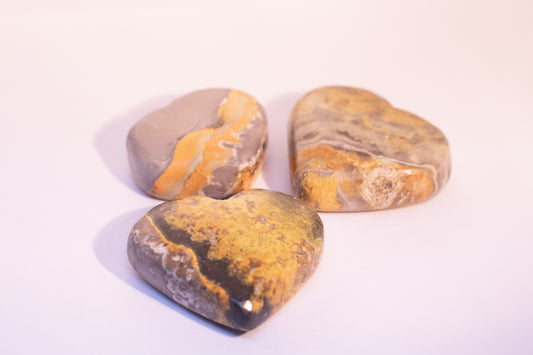 Bumble Bee Jasper Heart