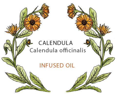 Calendula Oil