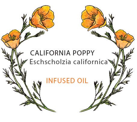 California Poppy Infused Oil
