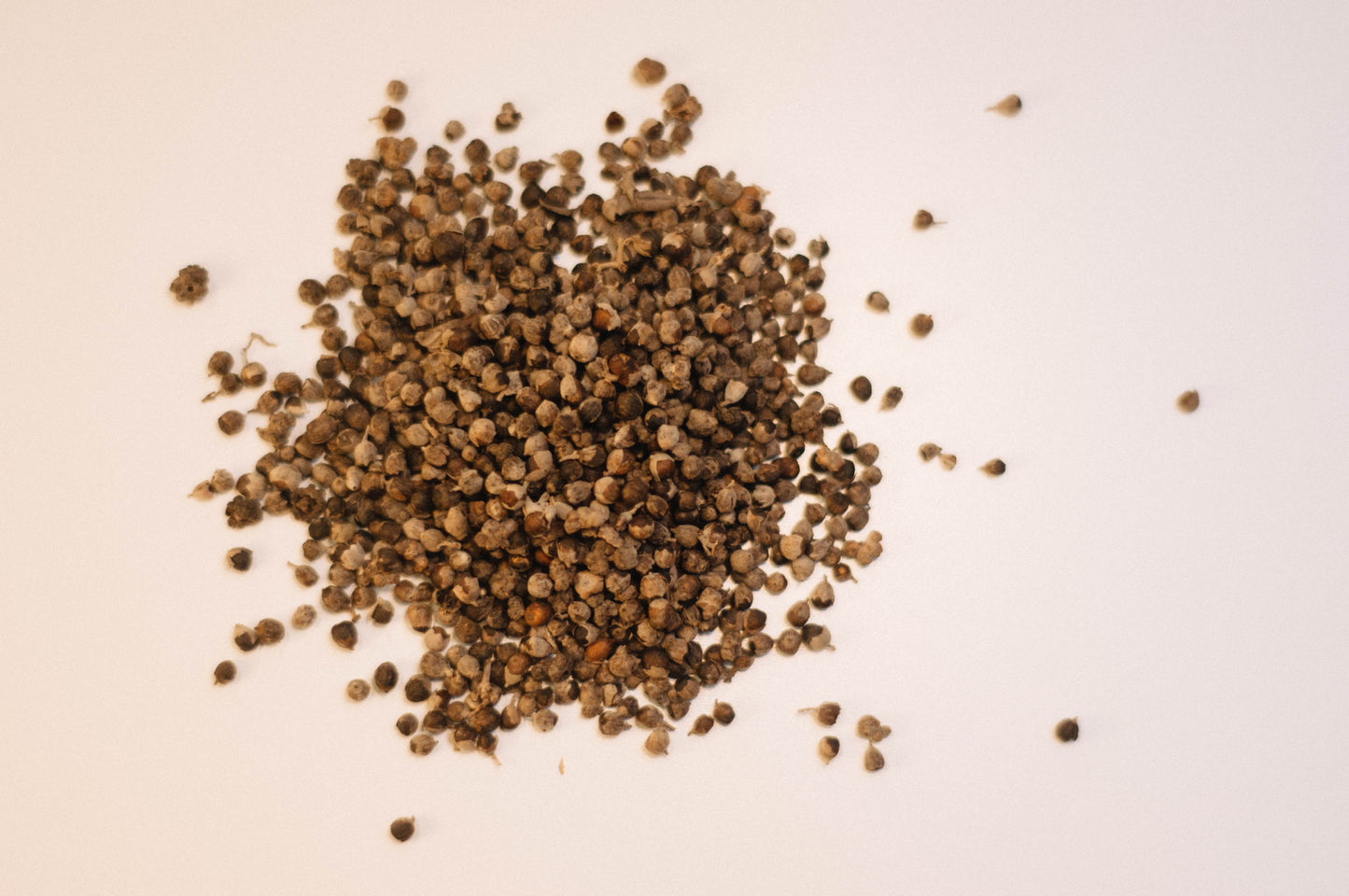 Chaste Tree Berry, Vitex