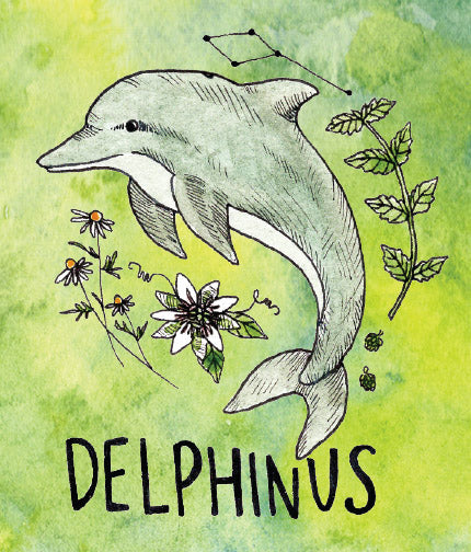 Delphinus Relaxing Elixir