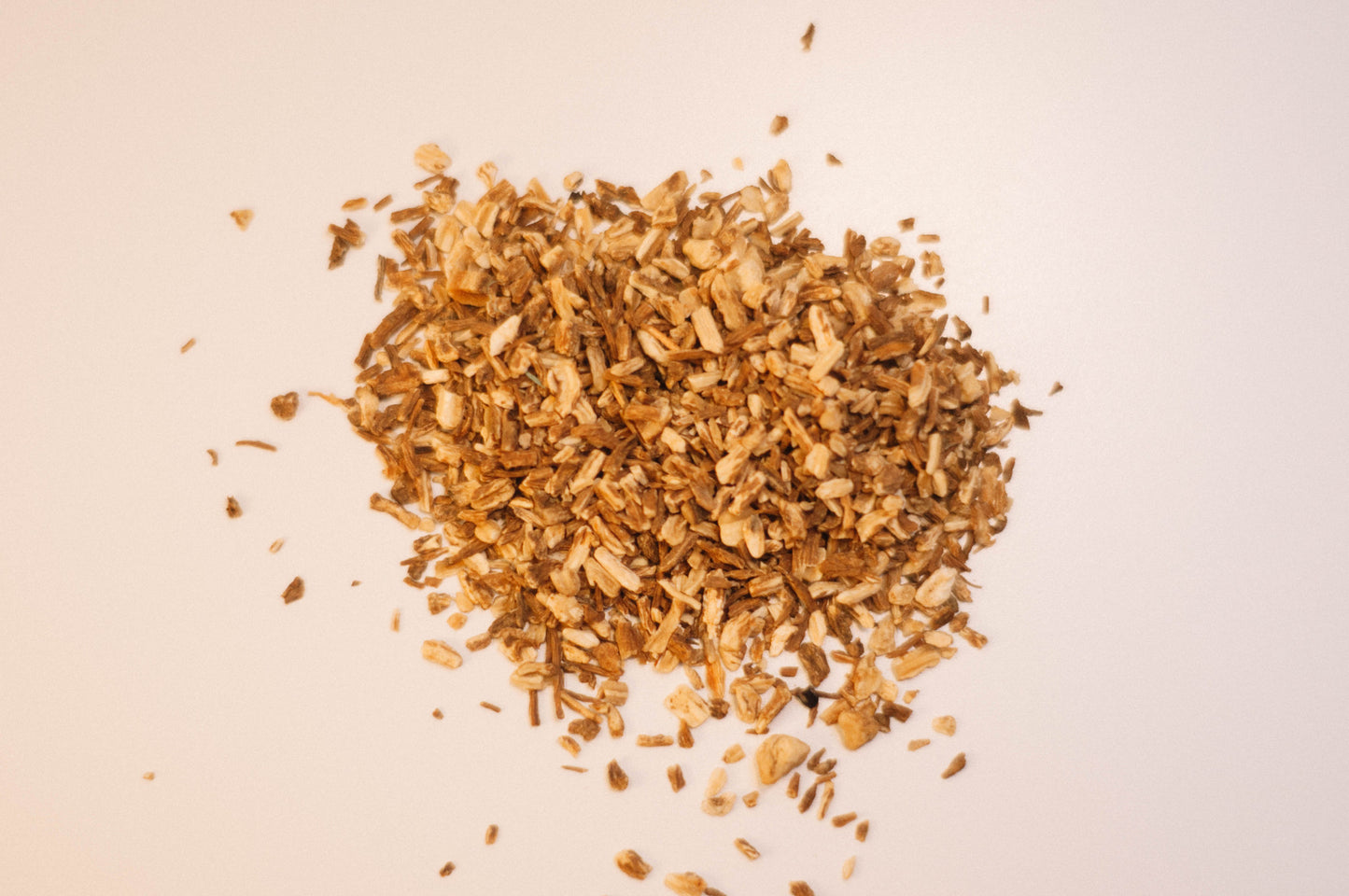 Dong Quai Root