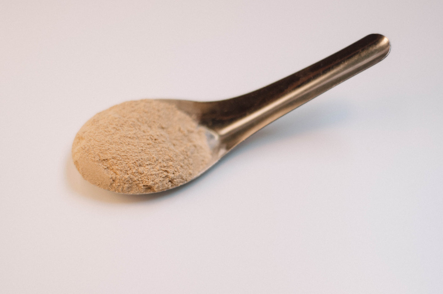 Dong Quai Root Powder