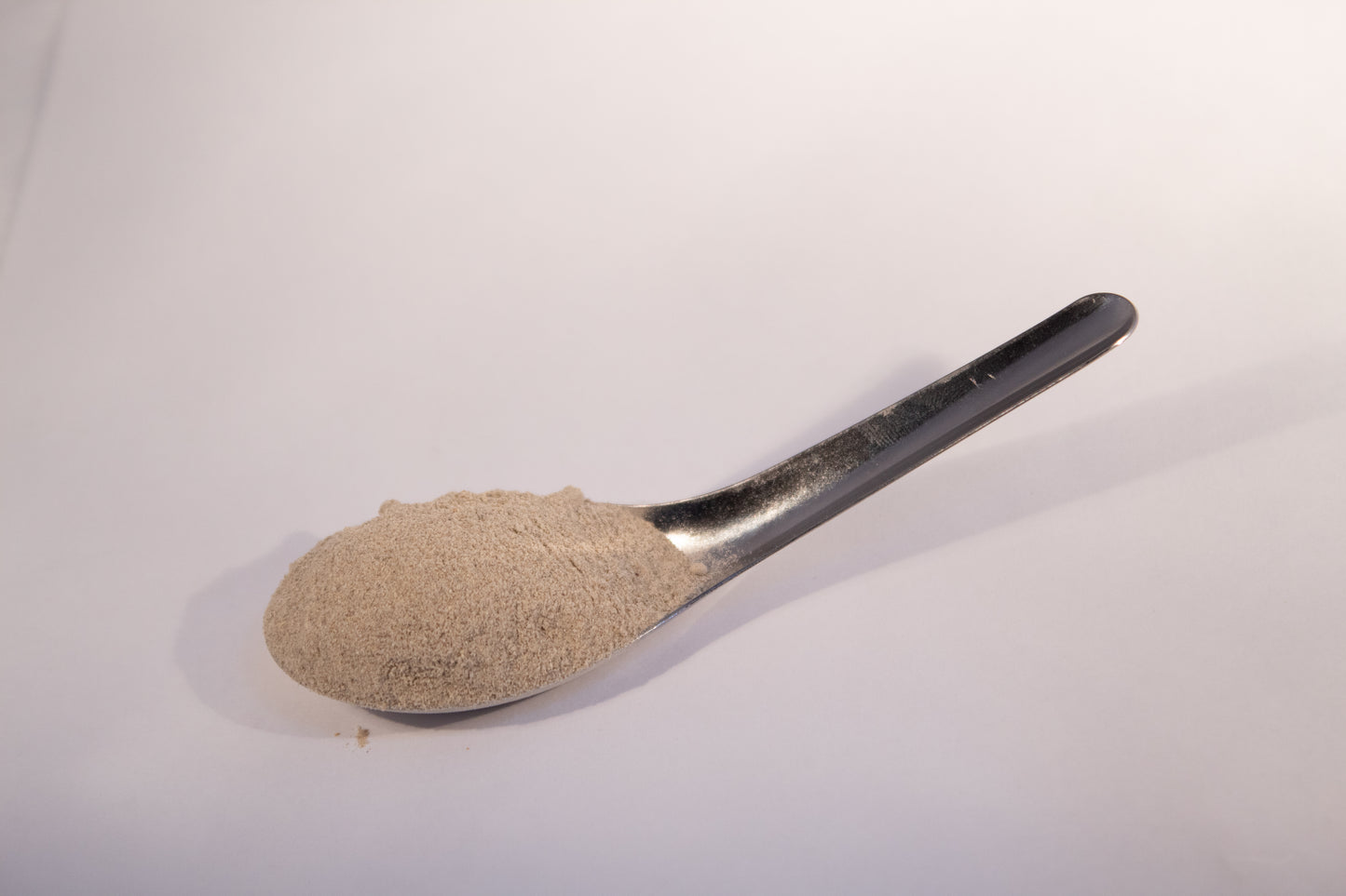 Echinacea Angustifolia Root Powder