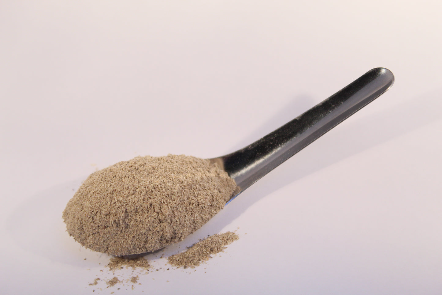 Echinacea Purpurea Root Powder