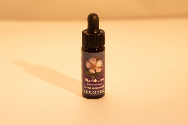 Blackberry Flower Essence Drop