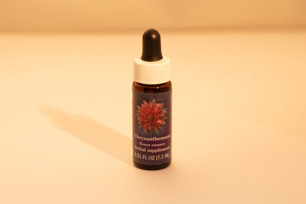Chrysanthemum Flower Essence Drop