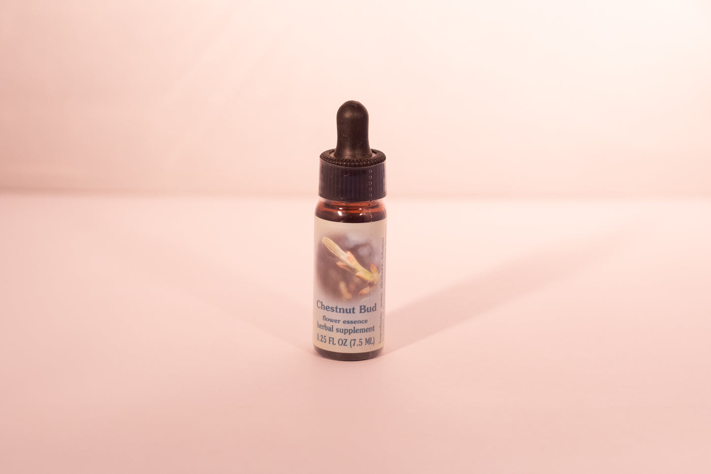 Chestnut Bud Flower Essence