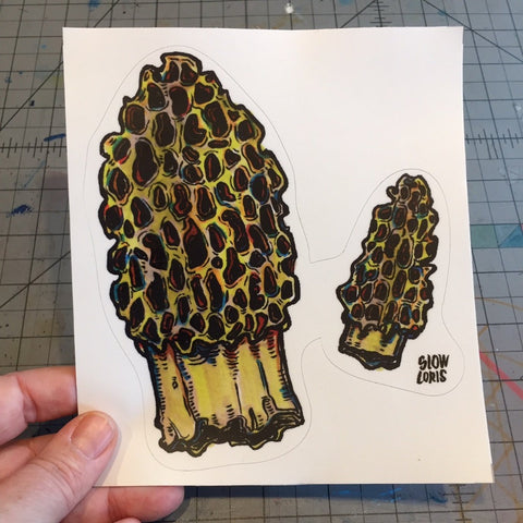 Morels sticker