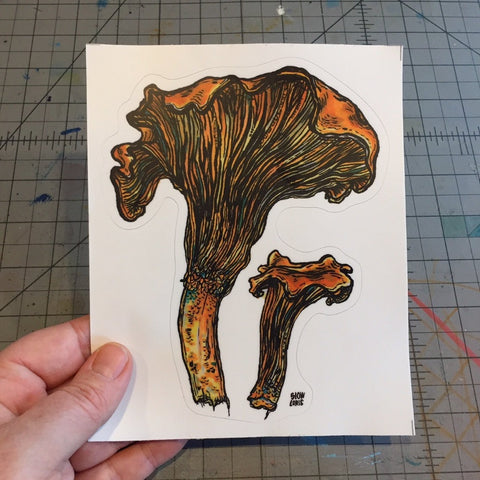 Chanterelles sticker