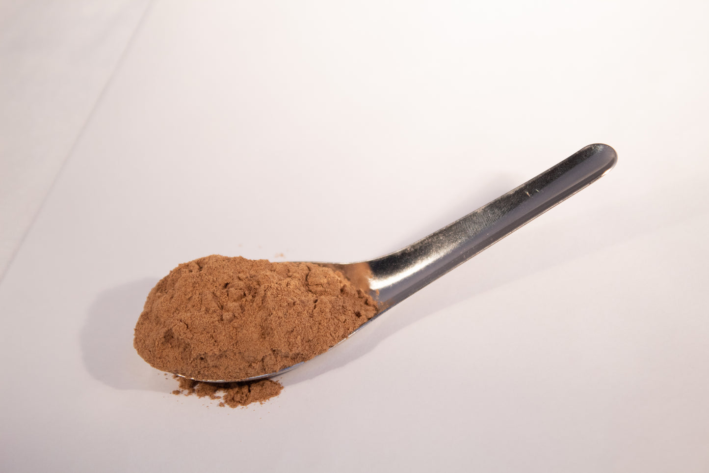 Lion's Mane Mushroom Powder