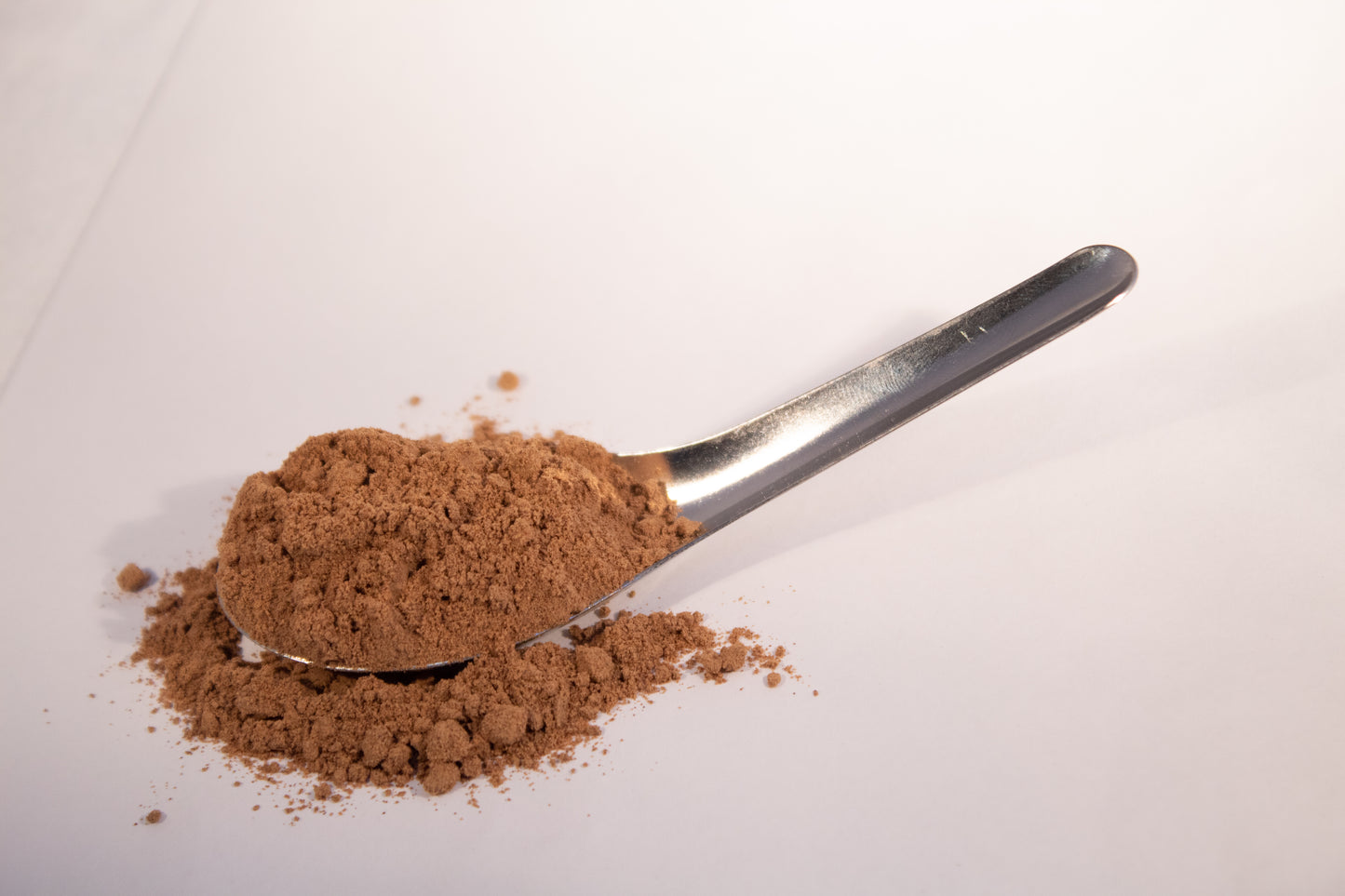 Lion's Mane Mushroom Powder