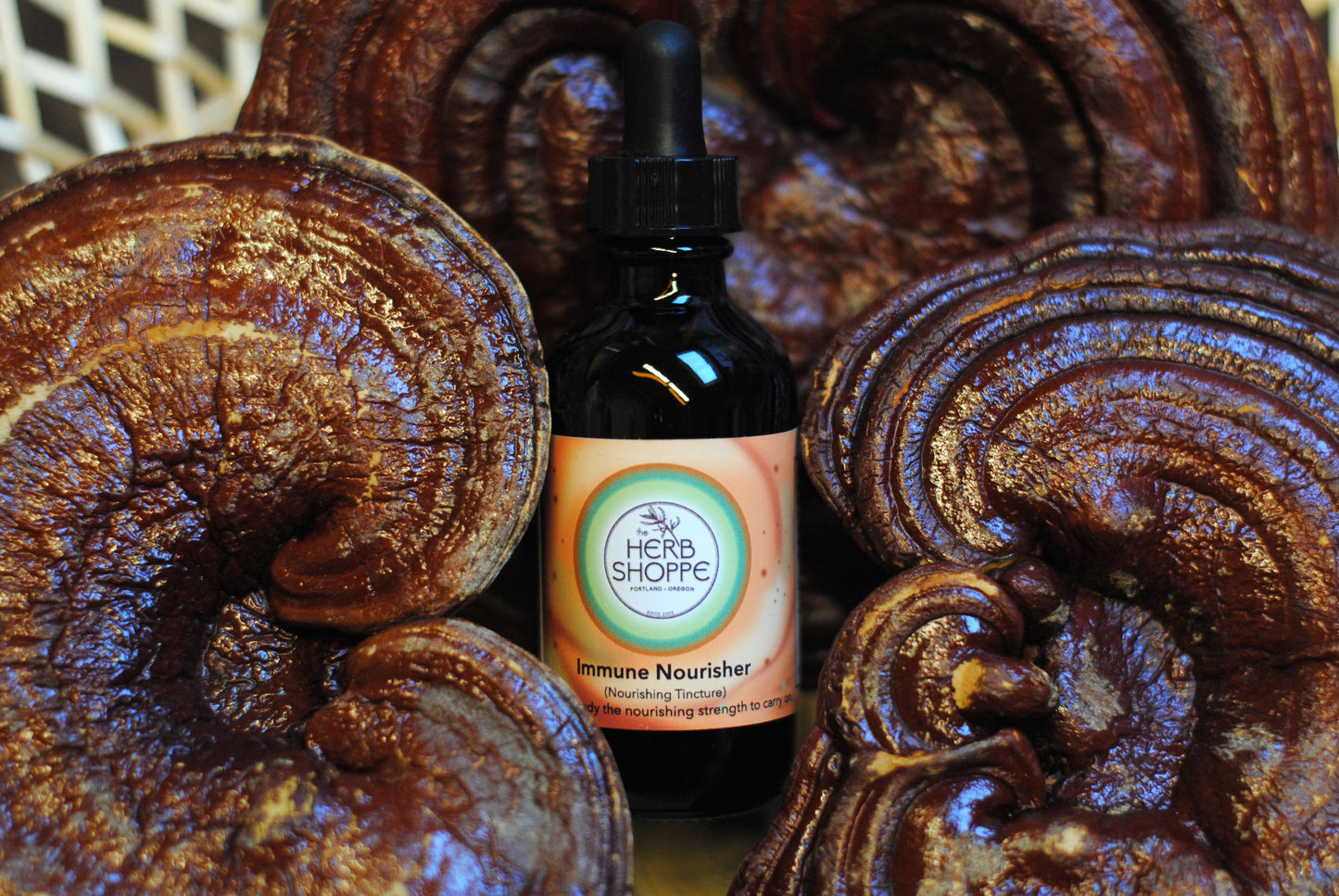 Immune Nourisher Mushroom Tincture