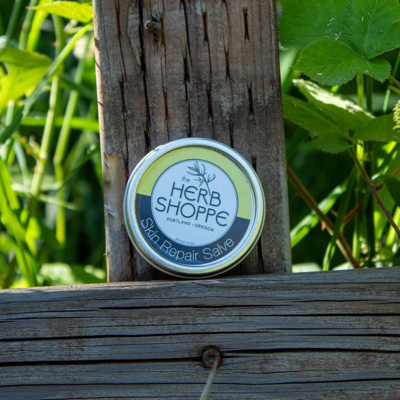 Skin Repair Salve
