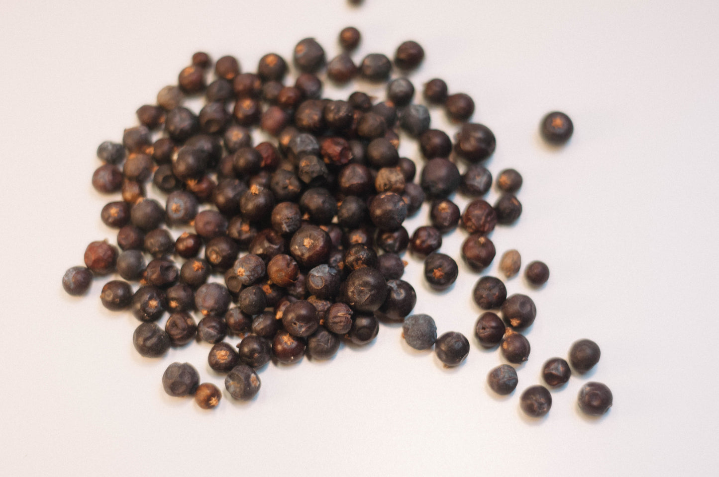 Juniper Berry