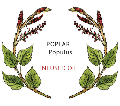Poplar Oil