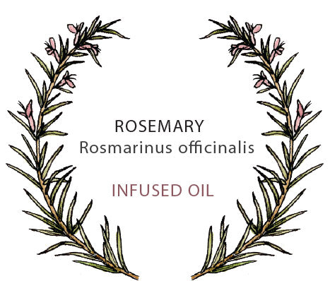 Rosemary Infused Oil