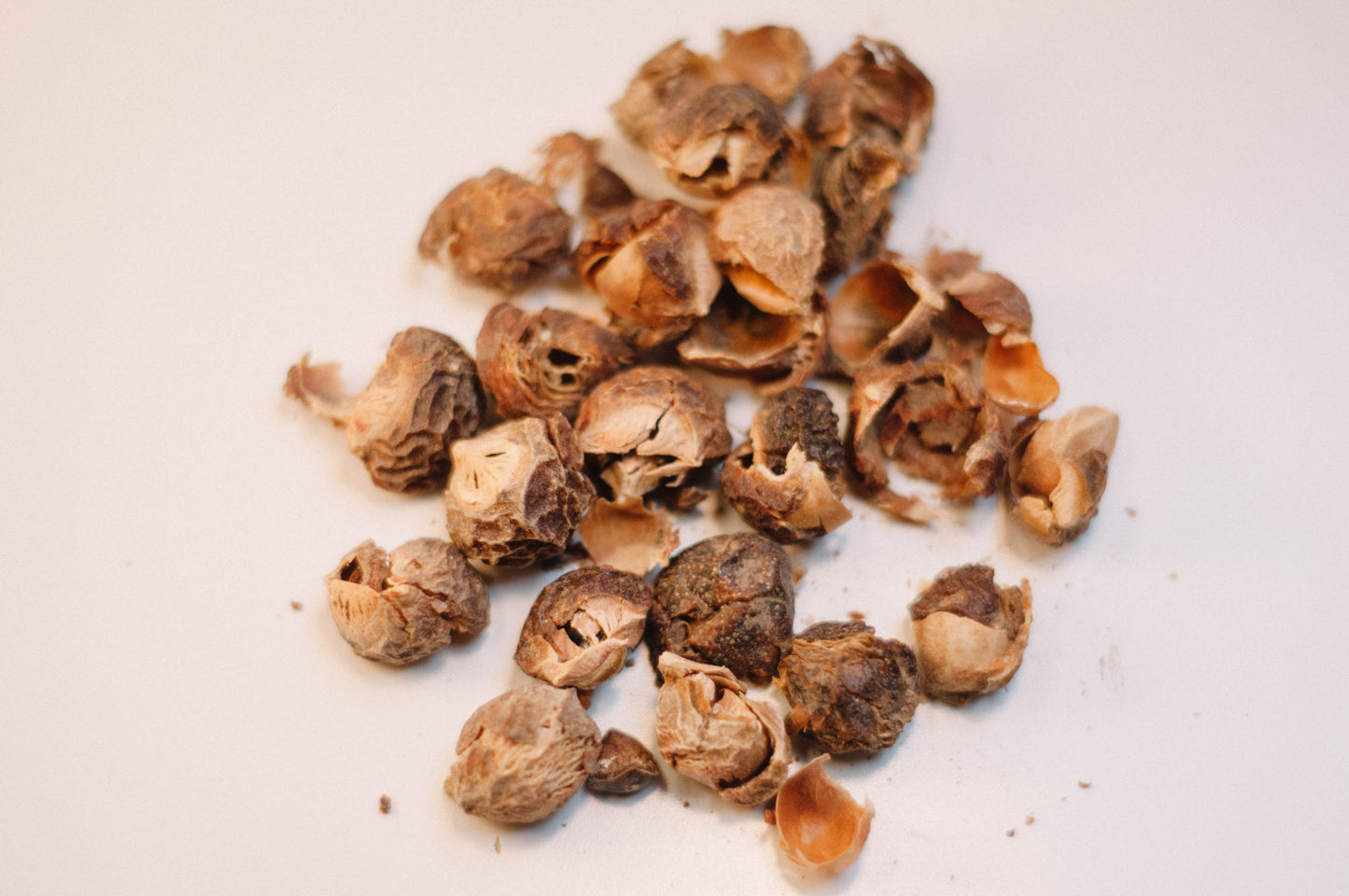 Soap Nuts