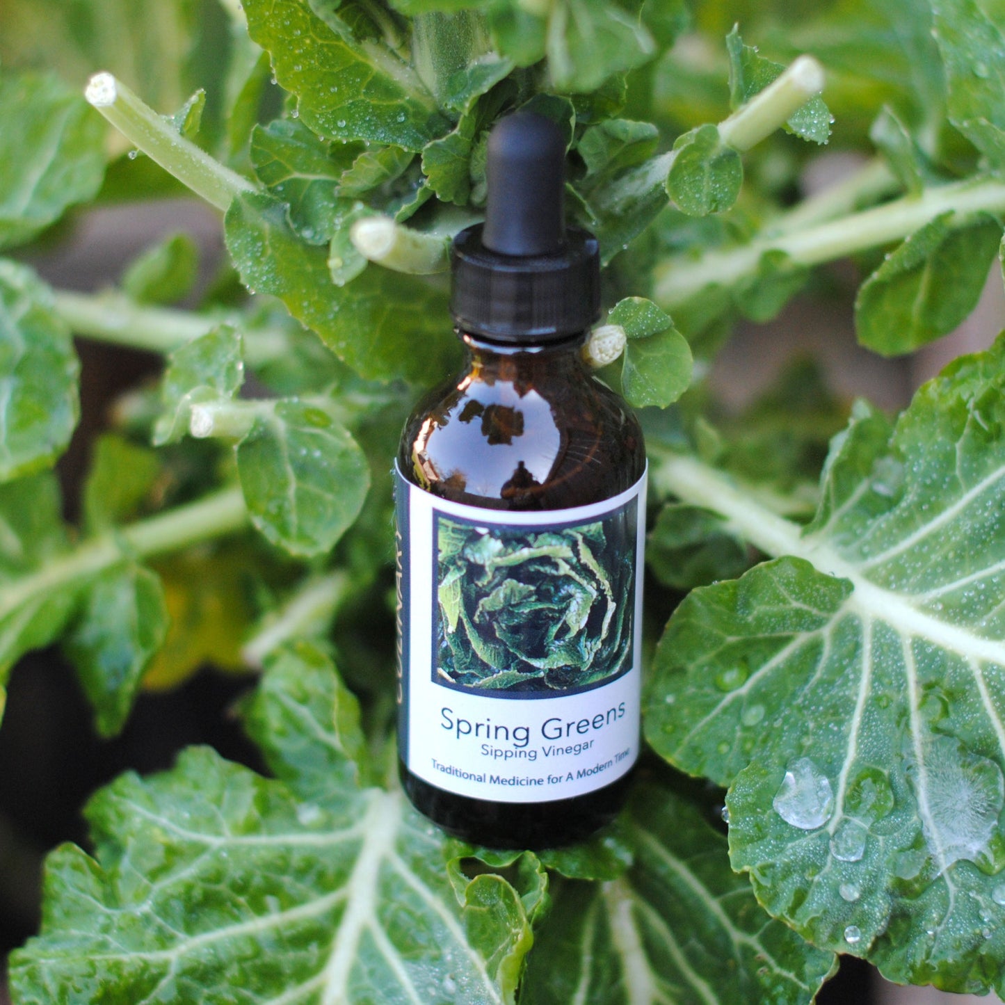 Spring Greens Sipping Vinegar