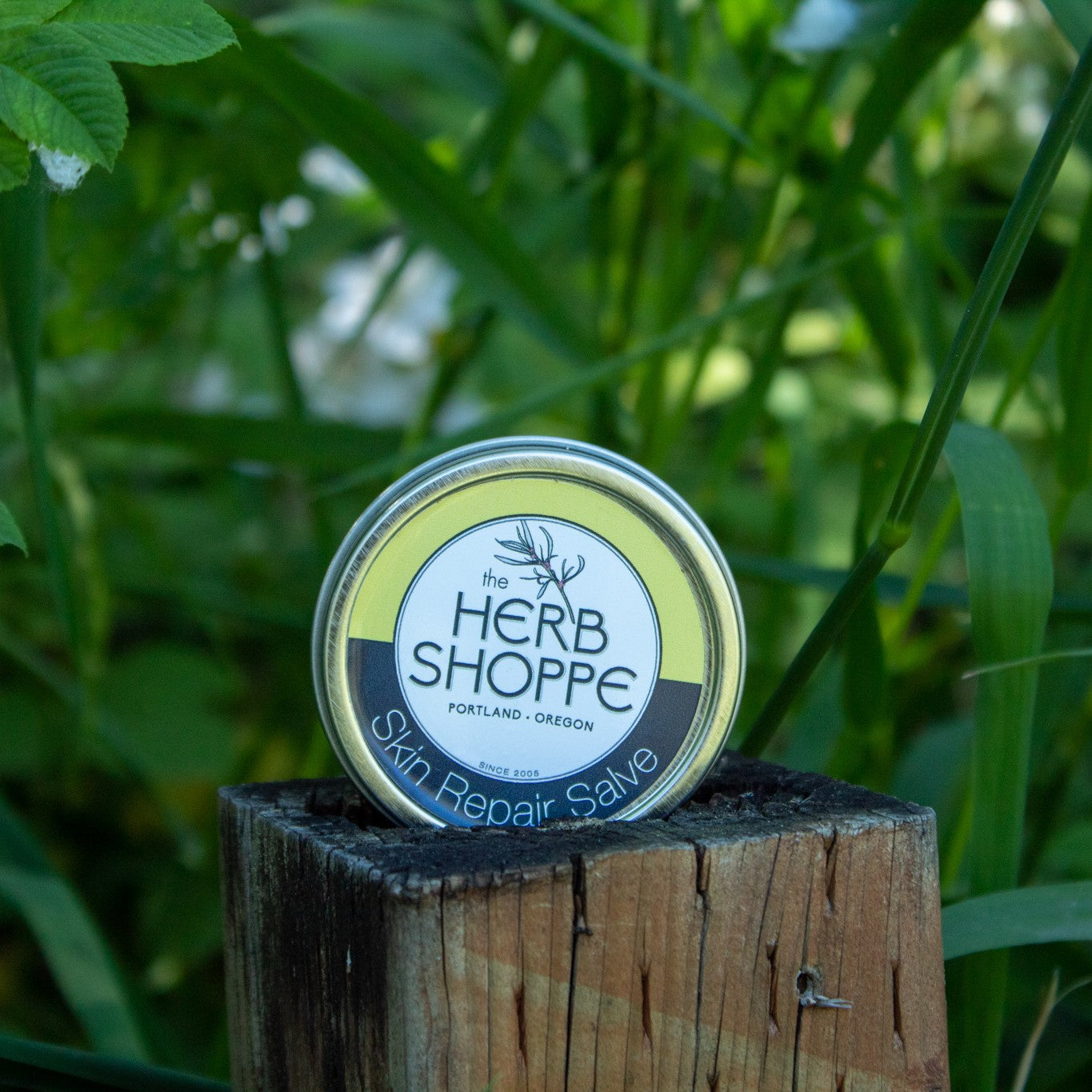 Skin Repair Salve
