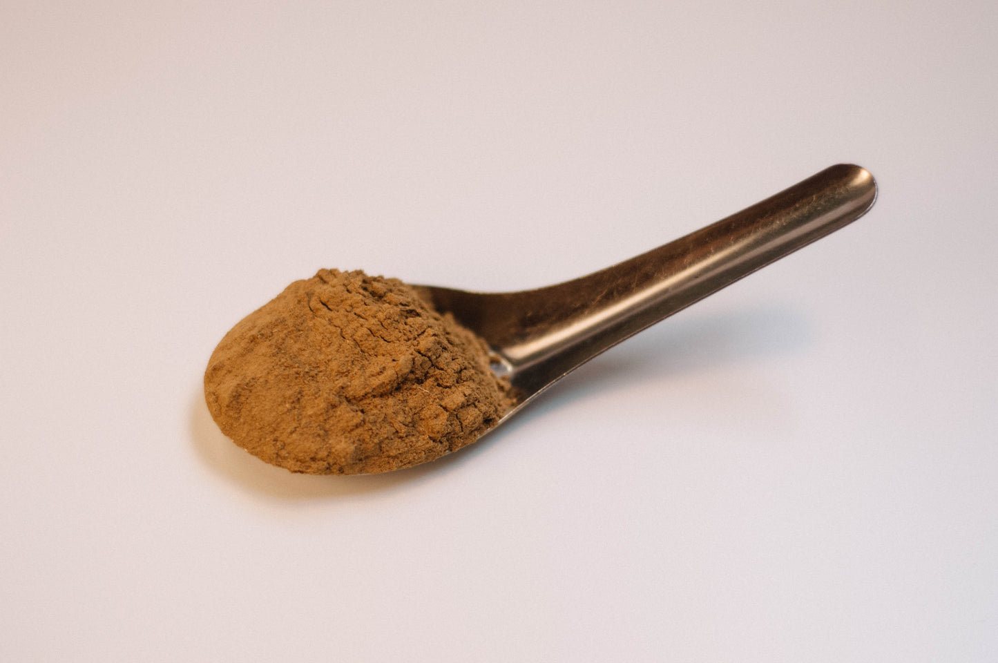 Yellowdock Root Powder