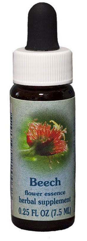 Beech Flower Essence
