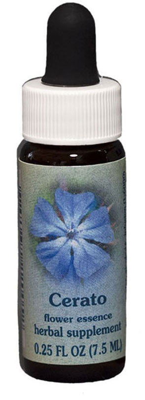 Cerato Flower Essence