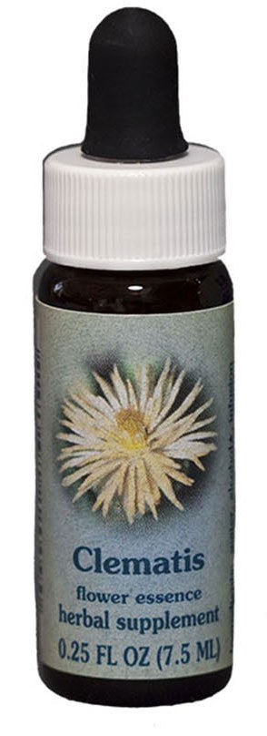 Clematis Flower Essence