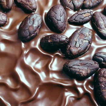 Cacao Absolute Essential Oil