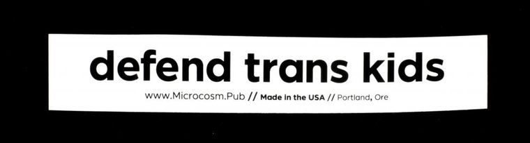 Defend Trans Kids Sticker
