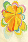 Field Guide Oracle Deck