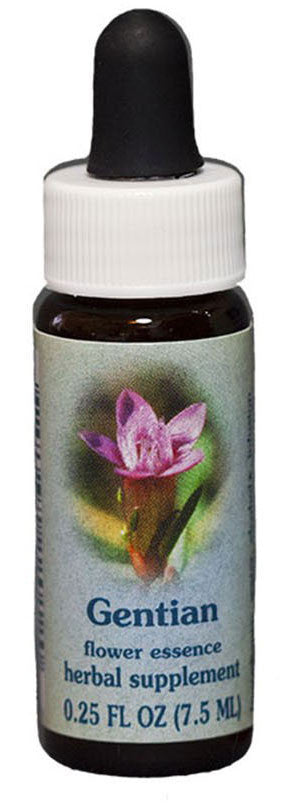 Gentian Flower Essence