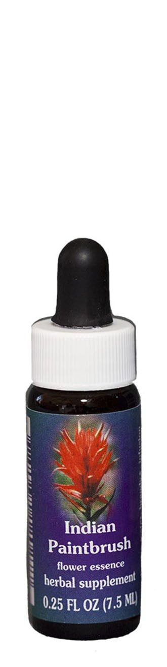 Indian Paintbrush Flower Essence Drop