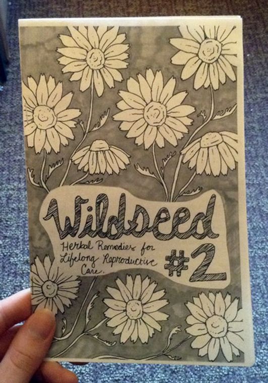 Wildseed Feminism:#2 Herbal Remedies for Lifelong Reproductive Care