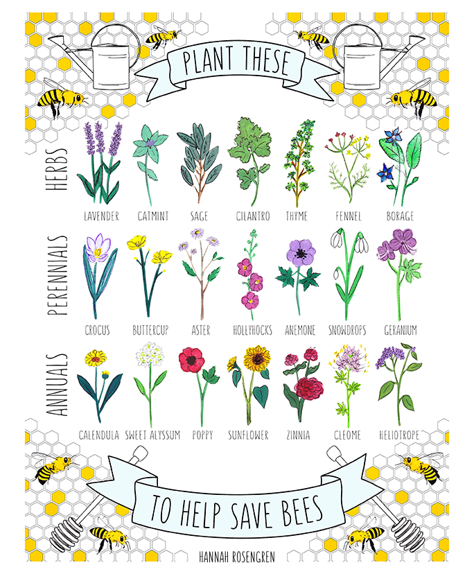 Save the Bee Poster 11x14