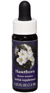 Hawthorn Flower Essence Drop